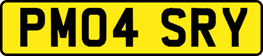 PM04SRY
