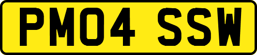 PM04SSW