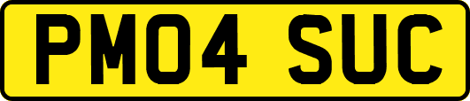 PM04SUC