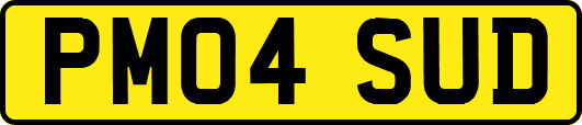 PM04SUD