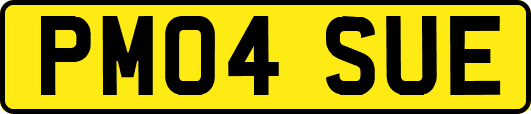 PM04SUE