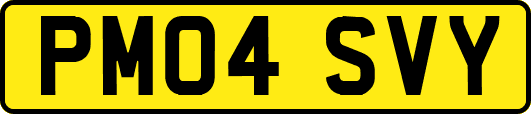 PM04SVY