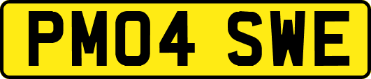 PM04SWE