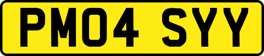 PM04SYY