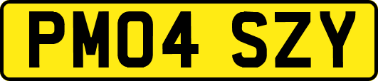 PM04SZY