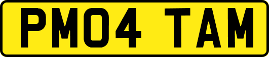 PM04TAM