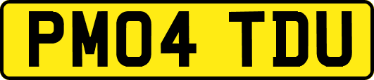 PM04TDU