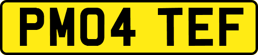PM04TEF