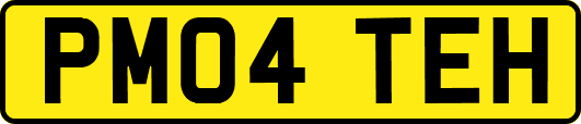 PM04TEH