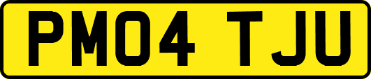 PM04TJU