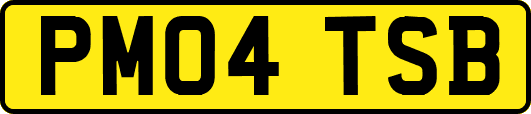 PM04TSB