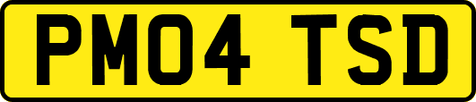PM04TSD