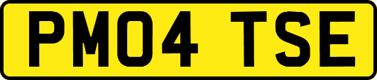 PM04TSE
