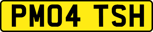 PM04TSH