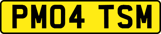 PM04TSM