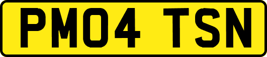 PM04TSN