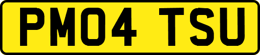 PM04TSU