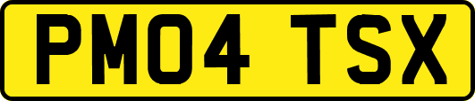 PM04TSX
