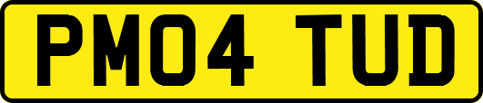 PM04TUD