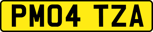 PM04TZA