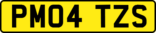 PM04TZS