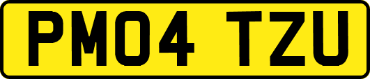 PM04TZU