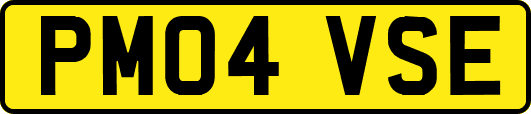 PM04VSE
