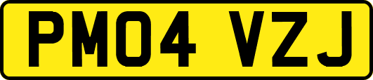PM04VZJ