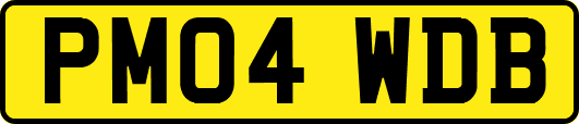 PM04WDB