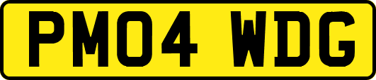 PM04WDG