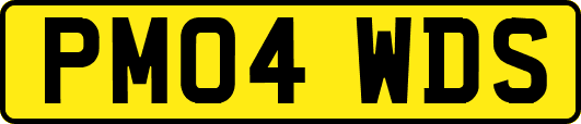 PM04WDS