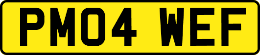 PM04WEF