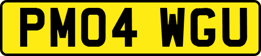 PM04WGU