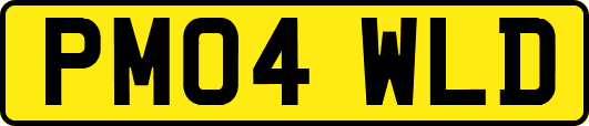 PM04WLD