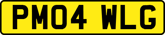 PM04WLG