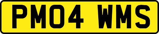 PM04WMS