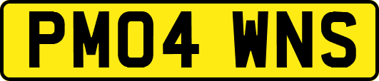 PM04WNS