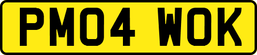 PM04WOK