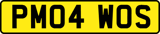 PM04WOS
