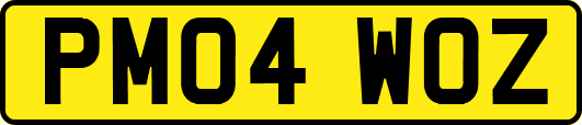 PM04WOZ