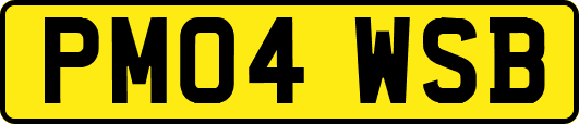 PM04WSB