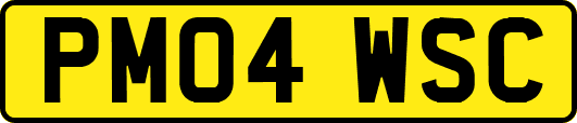PM04WSC