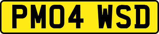 PM04WSD