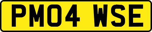 PM04WSE
