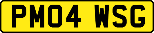 PM04WSG