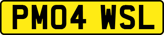 PM04WSL