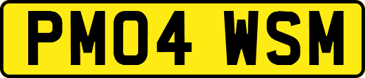 PM04WSM