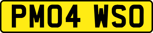 PM04WSO
