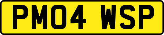 PM04WSP