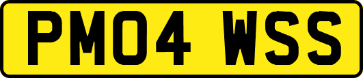 PM04WSS